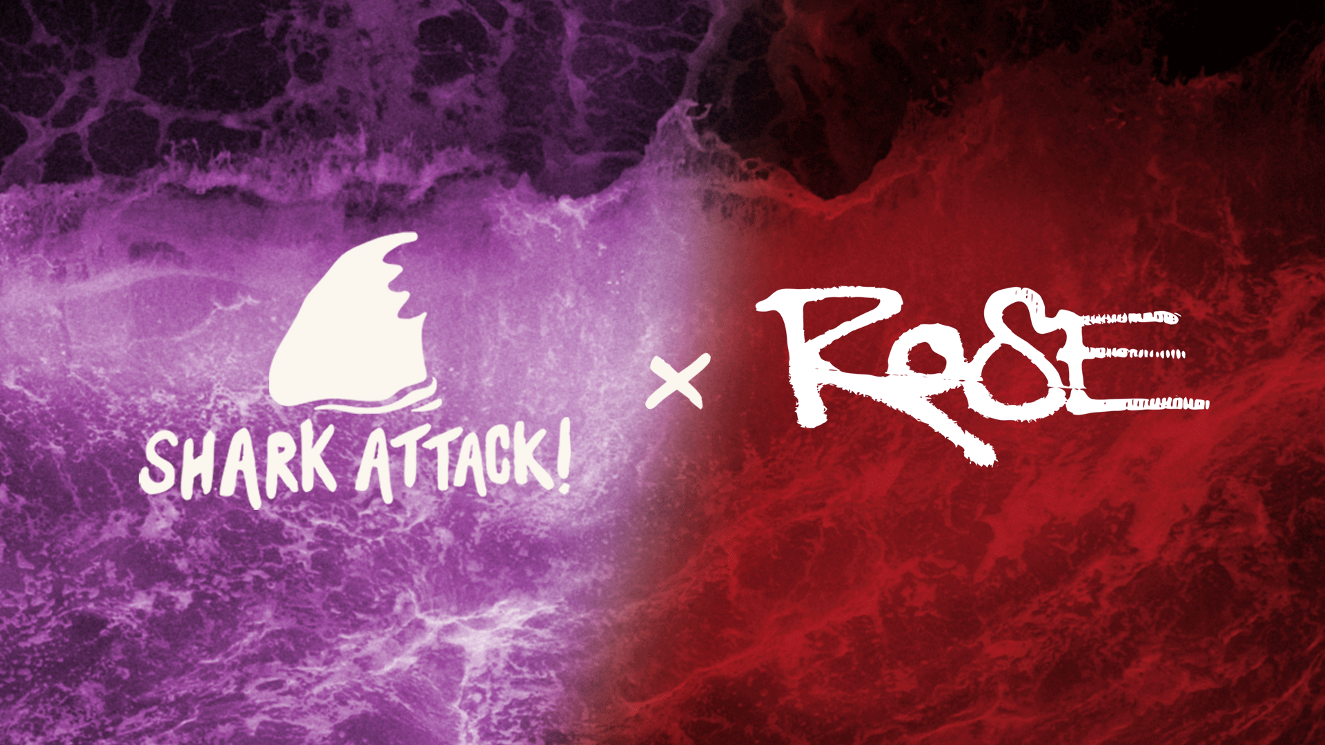 Shark Showdown Series Banner